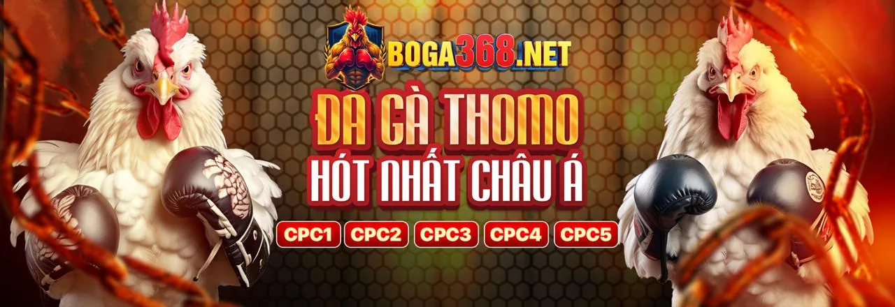 Đá gà trực tuyến 7clubs